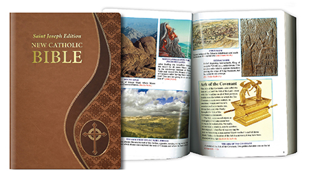Large Catholic Bible - Tan (LARGE TYPE) Gift Boxed  (44993)